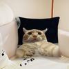 Funny Silly Cat Meme cushion cover Plush Fabric Soft Double Sided Print Sofa Cushion Cover Throw Pillow Covers