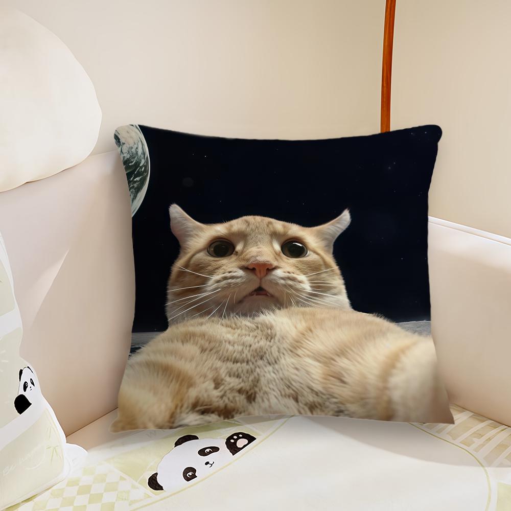 Funny Silly Cat Meme cushion cover Plush Fabric Soft Double Sided Print Sofa Cushion Cover Throw Pillow Covers