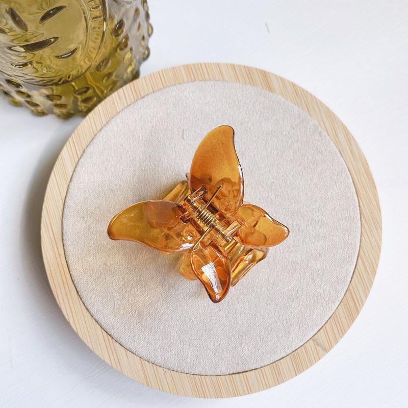

Transparent Medium Butterfly Claw Hair Clip for Women - Hairpin & Headdress Accessory