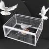 Tianluo Outdoor Pigeon Cage with Active Door Design Automatic Entry Home Use Only Unable To Exit Poultry Cage for Birds