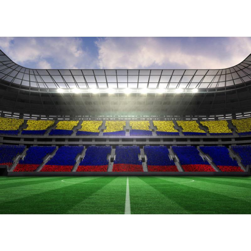 

World Cup Stadium Posters: Free Shipping Decorative Wall Art for Living Room or Dorm, Kraft Paper Photo Frames and Murals. White card paper (non-adhesive) 30*42 cm