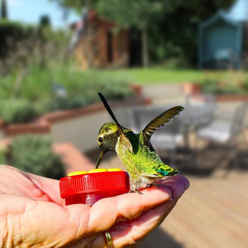 6Pcs Hummingbird Hand Feeder Handheld Hummingbird Feeders With 4 Brushes