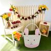Easter Basket, Easter Bunny Baskets with Handle, Baby Gift Baskets, Egg Buckets Gifts Tote Bags Egg Hunt Basket for Kids, Boys, Girls, Toddler,