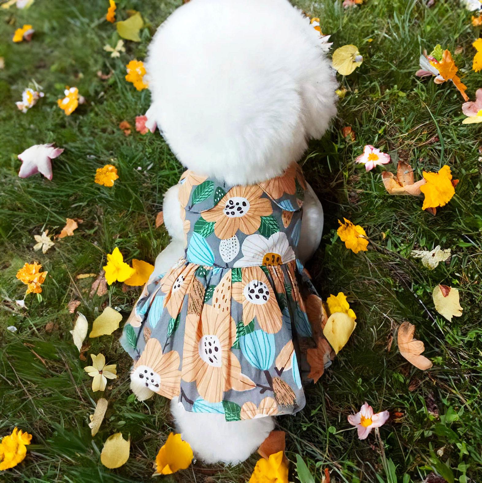 

Pet skirt new clothing dress spring and summer clothing S небо синє кольору