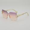 JYL TS Rimless Sunglasses With Leopard Head UV Protection Dopamine Style 114