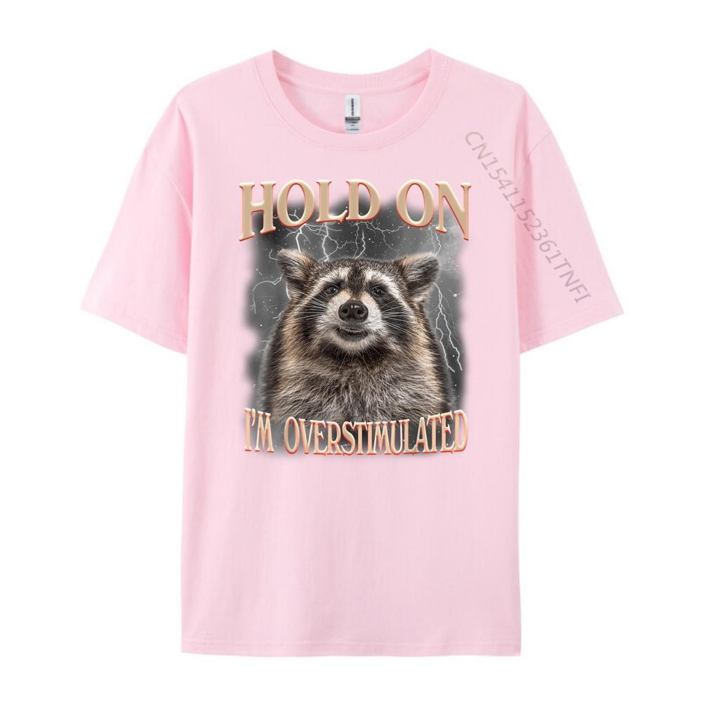 Hold On Im Overstimulated Raccoon Funny Men Women Streetwear Men Fall T Shirts For Men