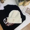 Women's Autumn and Winter Korean Version Ins Trendy Fashion Warm Men Versatile Student P Letter Casual Knitted Cold Hat