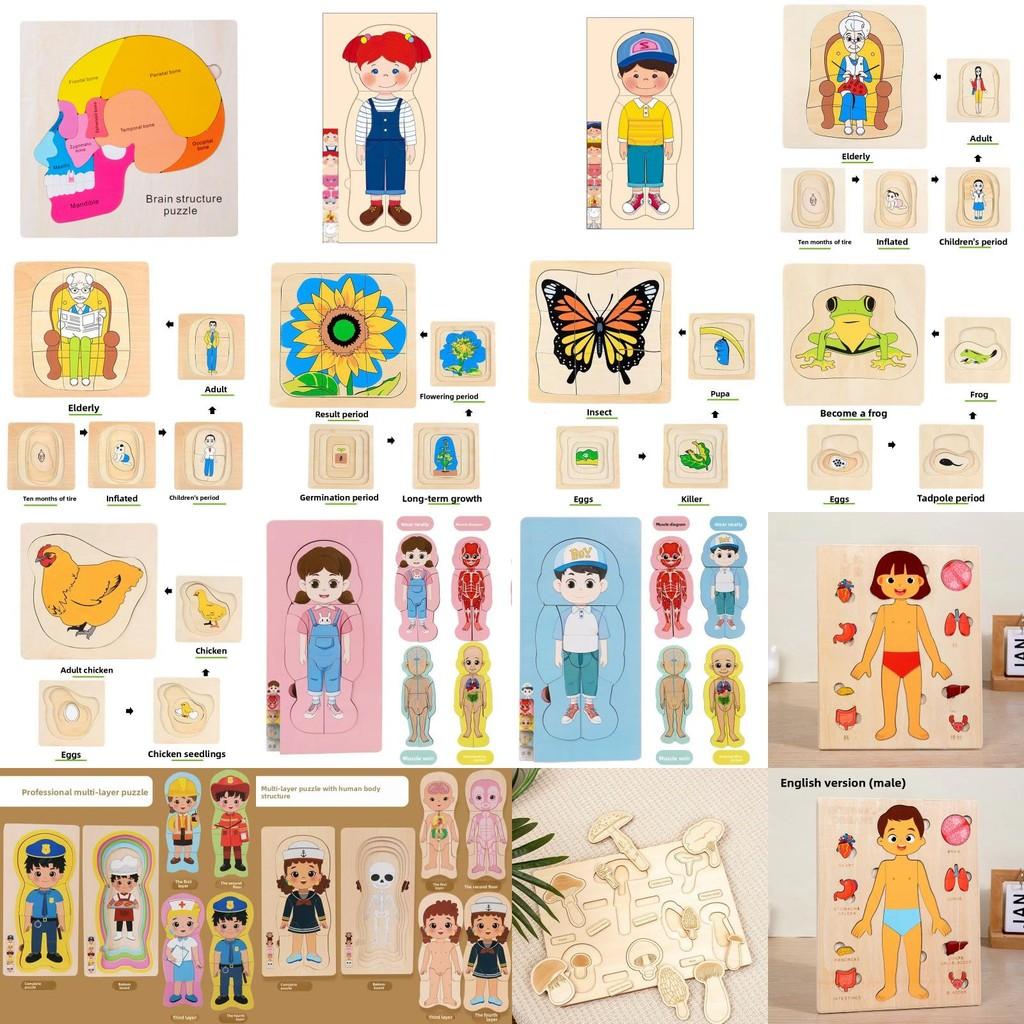 Children 3d Wooden Body Parts Puzzle Toy Anatomy Recognition Brain Development