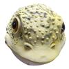 Maschera di rospo dorato di Halloween, costume divertente per feste, accessorio per mascherate, copricapo animale in lattice