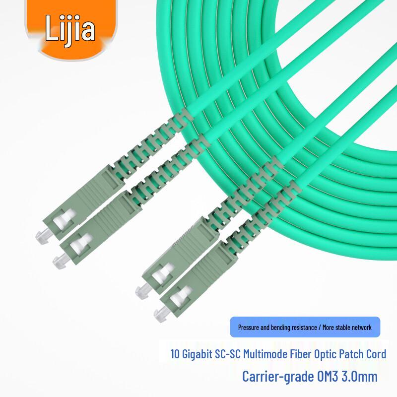 

LIJIA OM3 10 Gigabit Multimode Duplex Fiber Optic Patch Cable 1M