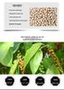 White Peppercorns Grinding Powder for BBQ Seasoning, Steak, and Western Cuisine Spices