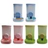 Cats Dog Feeding Station Leak Proof Water Fountains System Detachable Dish Anti Slip Base Design