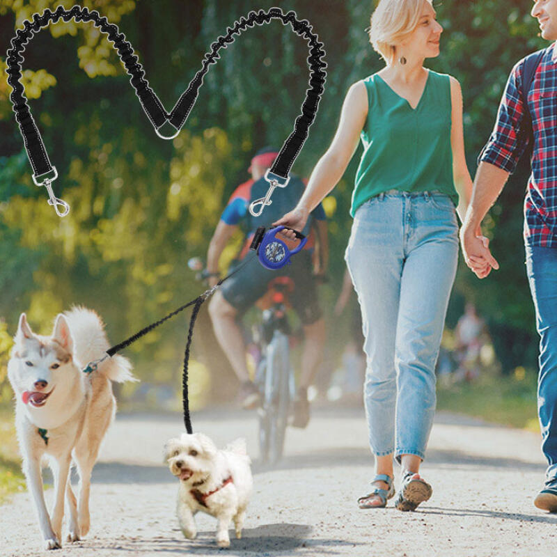 2-piece multi-purpose dog collar, harness, leash 2 multi-leash