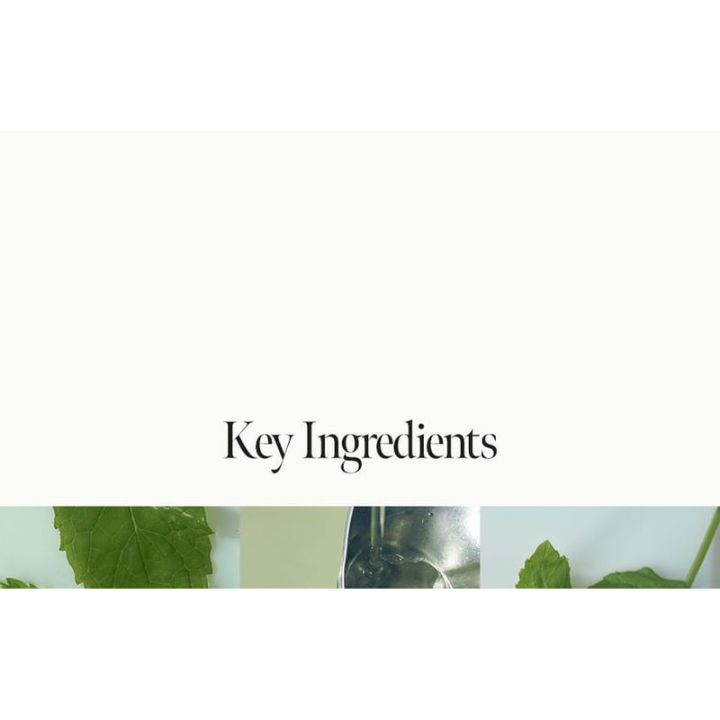 anillO - Patchouli Garden Damage Repair Shampoo