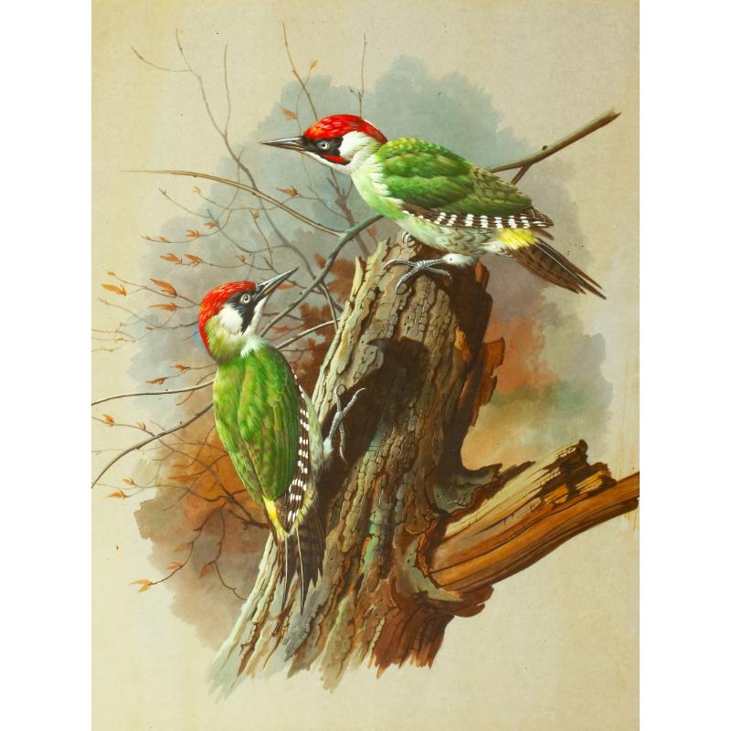 Canvas paintings, animals, birds, home decor, gift craftsmanship, living room, bedroom, wall decoration