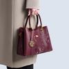 Red Bag Light Luxury Versatile Mother Wedding Bag Practical Messenger Handbag Mother-In-Law Wedding Bag