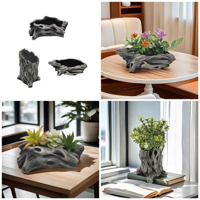 עציץ עציץ גן סוקולנטים עציץ קקטוס עציץ גזע עציצים לסוקולנטים עציץ גדם עציצים שורש עץ גדם