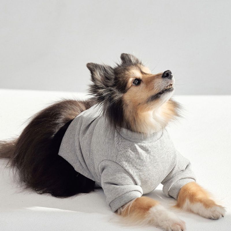CROOKTHECHIHUAHUA Semi Crop Sweat Shirt - GRAY
