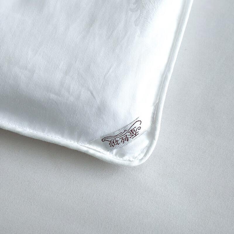 Arctic Velvet Meina Pure Silk Quilt