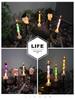 Haunted Festival Skull Solar Candle Light for Garden