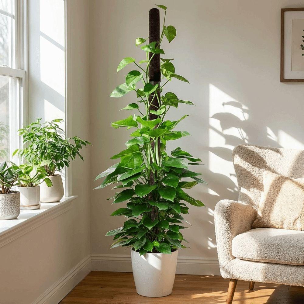 With Cover Plant Support Bracket Ventilate Potted Plant Holder  Balcony Gardening