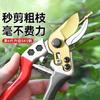 8-Inch Gardening Scissors Thick Branch Fruit Tree Scissors Labor-saving Bonsai Ergonomic Handle Hand Pruner Branch Clippers