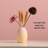 Morandi Style Small Vase: Coffee Table, Living Room, Dried Flower Arrangement, Homestay & Home Decoration
