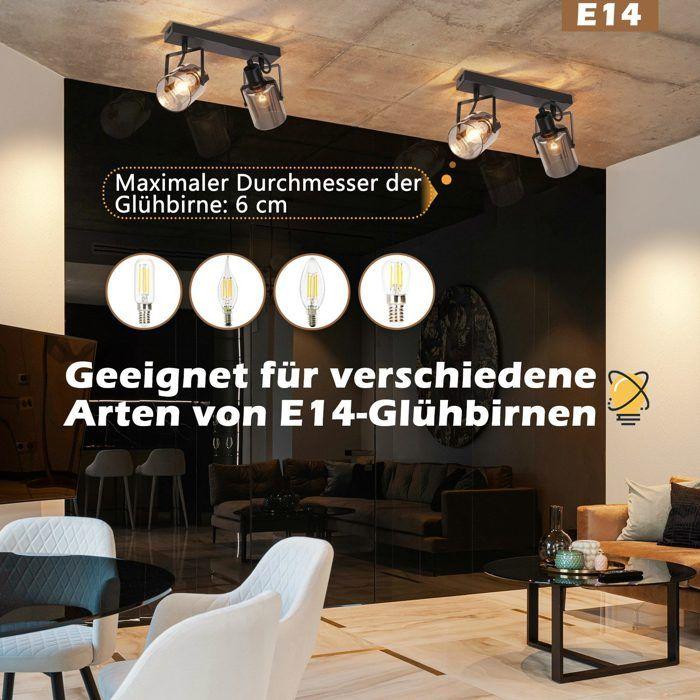 Deckenleuchte - NETTLIFE - 2 Leuchtmittel - E14 - 350° drehbar - Geräuchertes graues Glas