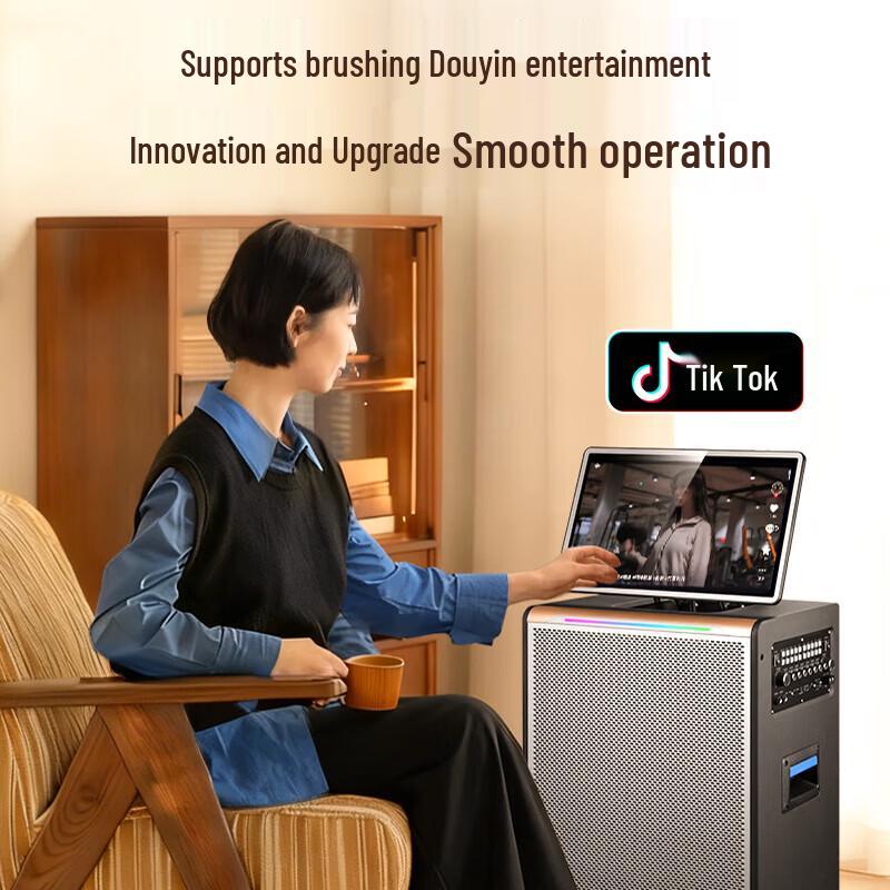 SAST Portable KTV Speaker System CN Plug (adapter Included)