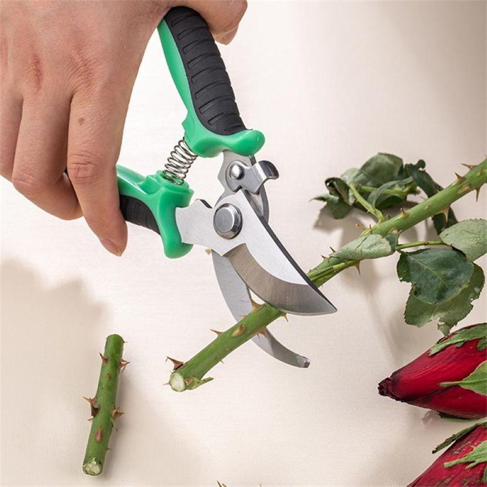 Pruner Garden Scissors Professional Sharp Bypass Pruning Shears Tree Trimmers Secateurs Hand Clippers For Garden Beak Scissors