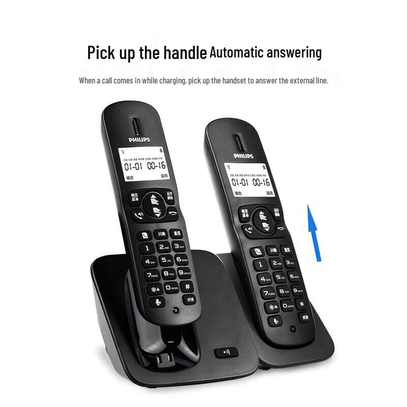 Philips DCTG186 Cordless DECT Phone System (CN version)