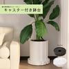 Movable Plant Pot Stand with and Water Storage Tray Fits 30cm S.T.S.G Casters, Drainage, Breathability, (Black, Planters)