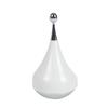Advanced Ionic Ice Roller for Face Massage and Beauty Therapy