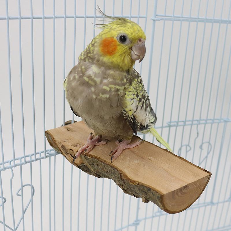 Premium Pole High Quality Parrot Apple Wooden Jumpboard Parrot Rest Platform Jumping Platform Grinding Claw Bird Standing Stick Standing