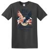 United States Eagle T Shirt Established 1776 250th Anniversary Flag Retro Tee
