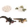 Model Toy Educational Design Early Simulation Plastic Animal Learning Growth Cycle Miniature
