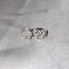 Watery Rose Earring
