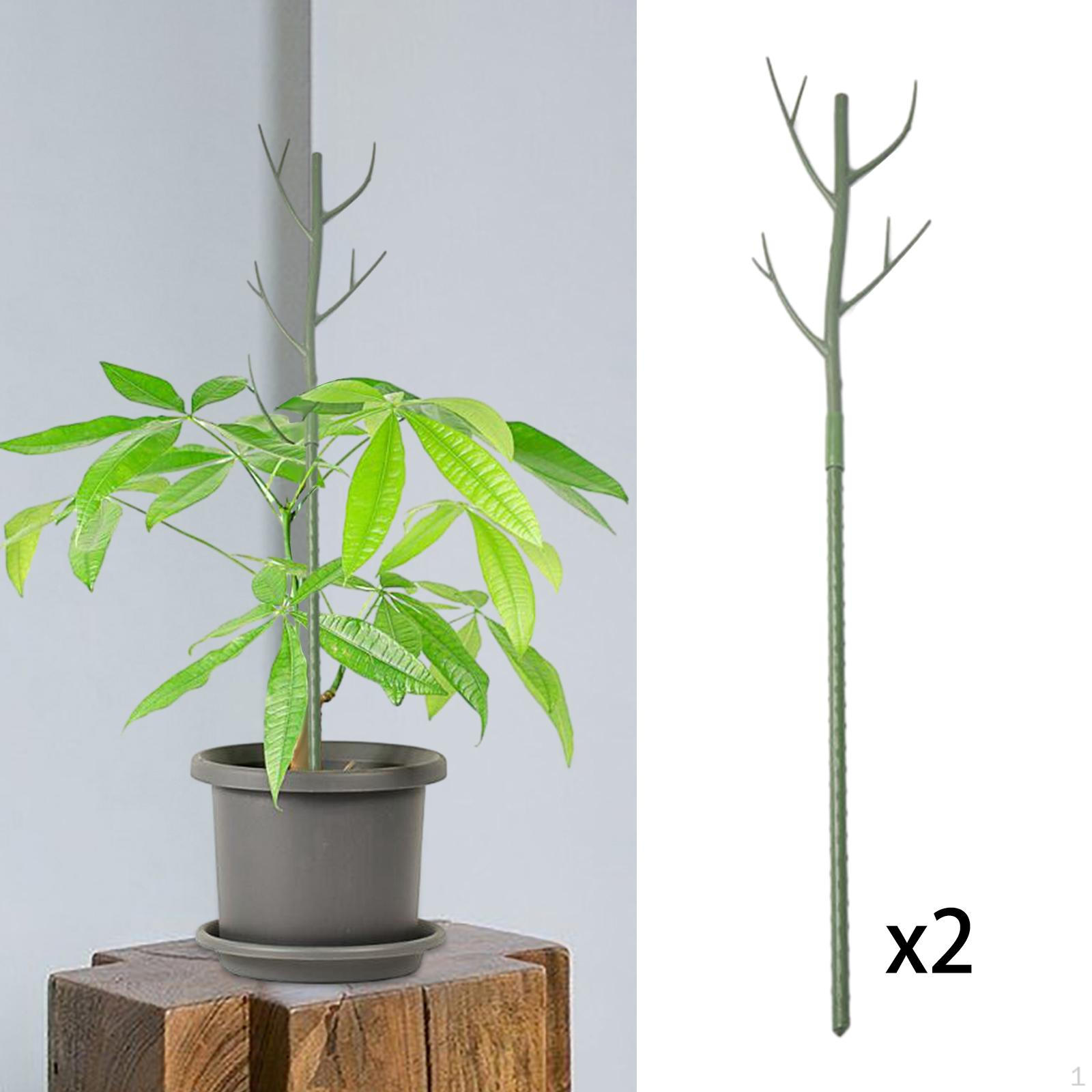 

Garden Plant Support Trellis Green Tree Branch for Gardening Backyard Green 2pcs