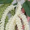 Hanging Artificial Flower Realistic UV Resistant Fake Flower Indoor Outdoor Garden Porch Patio