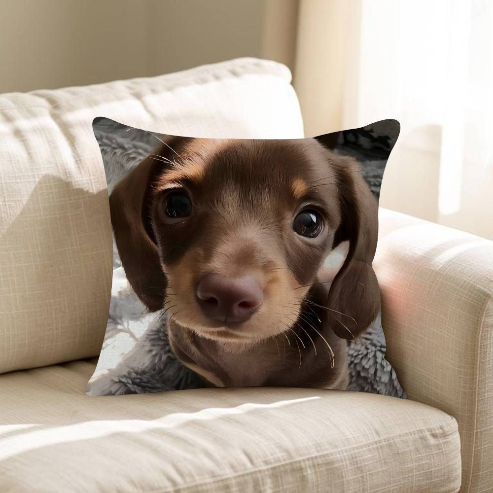 Cute Dachshund Dog Cushion Cover Inches Farmhouse Decor Home Throw Pillow Covers For Couch Decorations