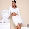 2023 Bandage Skirt Two-Piece Set: Sexy Feather Long-Sleeve Crop Top & Short Skirt