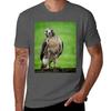 Beautiful Red Tail Hawk On A Railing Tshirt Casual Soft Cotton Short Sleeve Tee Tshirt