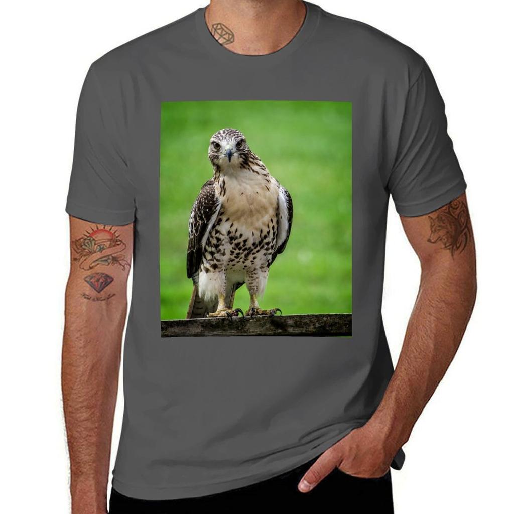 Beautiful Red Tail Hawk On A Railing Tshirt Casual Soft Cotton Short Sleeve Tee Tshirt