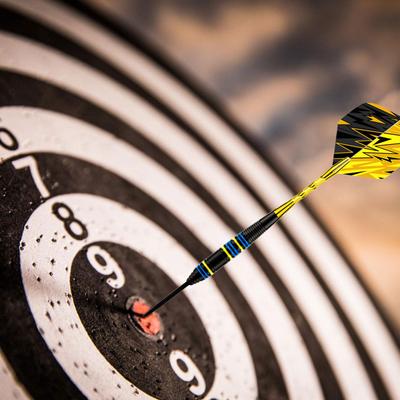 Paket med 30 Standard Dart Flights PET Ersättningsfjäder Bakvinge Perfekta Tillbehör Utrustningsset för Dartspel
