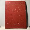 [USED] Hideki Fujii Actress Collection of Works Glossy