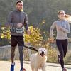 Dogs Training Pouch for Running Walking with Treat Bag Puppy Outdoor Training Bag Portable Bum Bag Pet Dogs Travel Gear  Gray