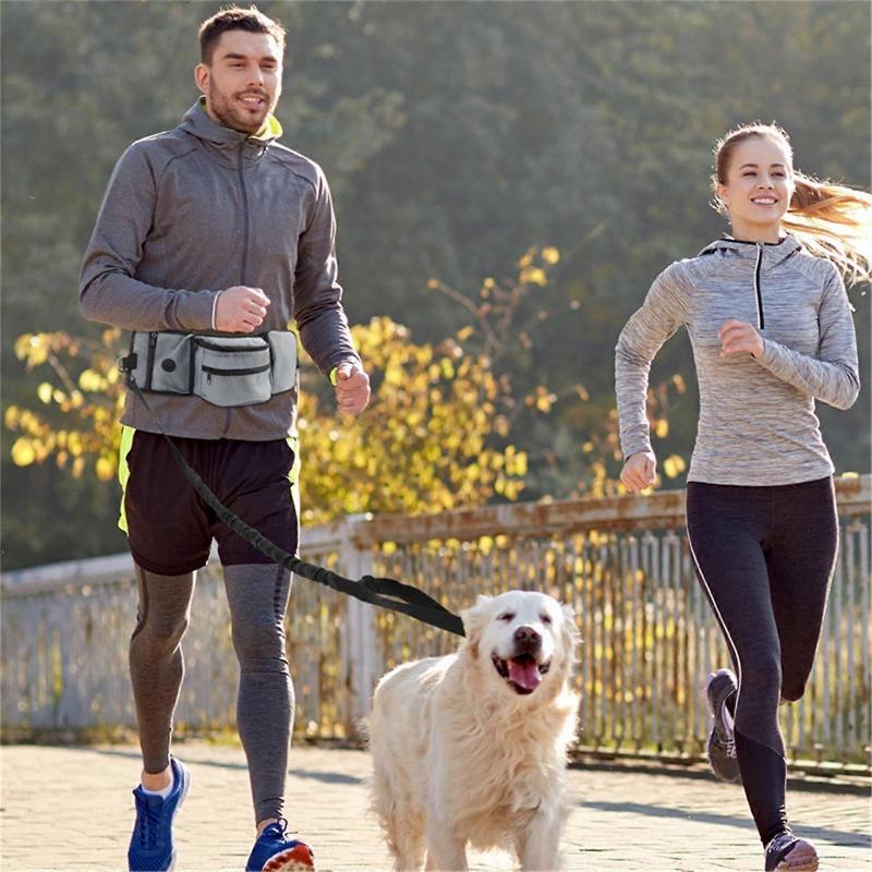 Dogs Training Pouch for Running Walking with Treat Bag Puppy Outdoor Training Bag Portable Bum Bag Pet Dogs Travel Gear  Gray