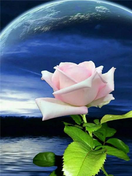 5D DIY Diament Malarstwo Nowy Kwiat Róży Dżetów Diament Haft Sprzedaż Krajobraz Nadmorski Mozaika Wystrój Domu