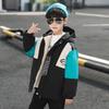 Boys' Autumn Winter Cotton-padded Clothes Plus Cotton-padded Clothes, Velvet Jackets, Children's Clothes Plus Boys' Cotton-padded Clothes