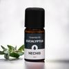 NECHIS Aroma Oil, Mind and Body Relaxation Essential Oil, Eucalyptus 12ml (29253461)